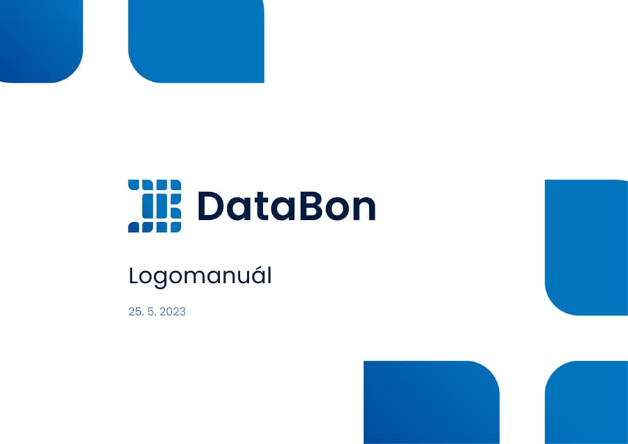 DataBon — brand identity